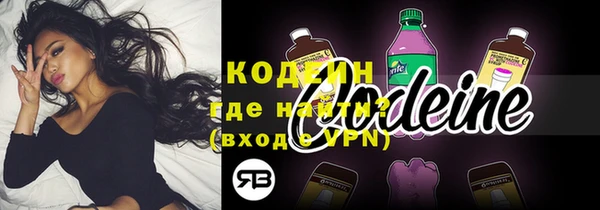 соль ск Козловка