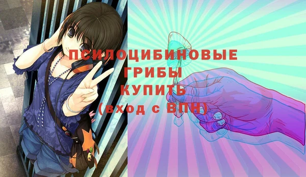 сатива Козельск