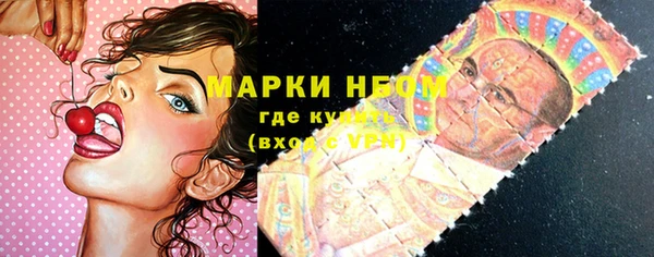 сатива Козельск