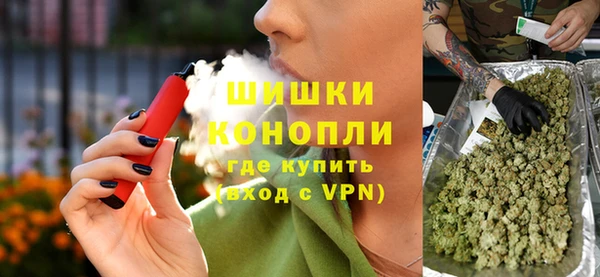 сатива Козельск