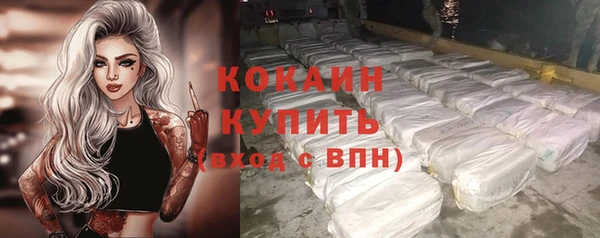 сатива Козельск